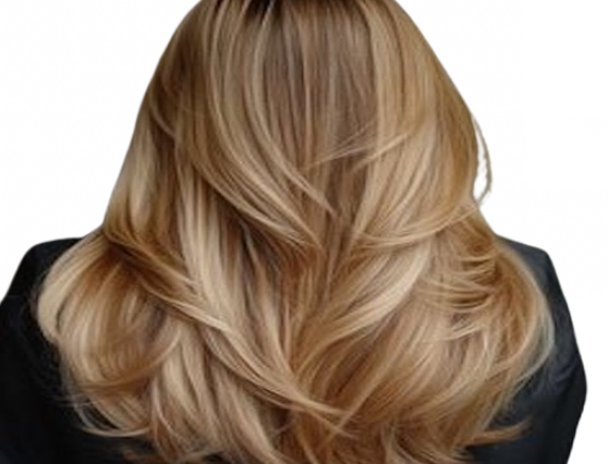 Honeybliss Salon
